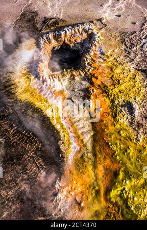 El Tatio Geysire (Geysire del Tatio), das größte Geysir-Feld der südlichen Hemisphäre, Atacama-Wüste, Nord-Chile, Südamerika Stockfoto