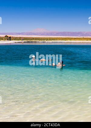 Laguna Cejar (auch bekannt als schwimmende Salzsee-Lagune), Atacama-Wüste, Nord-Chile, Südamerika Stockfoto