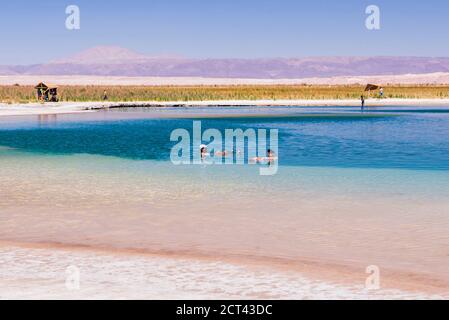 Laguna Cejar (auch bekannt als schwimmende Salzsee-Lagune), Atacama-Wüste, Nord-Chile, Südamerika Stockfoto