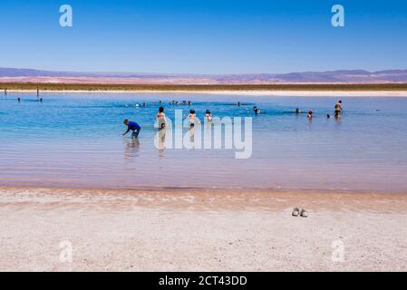 Laguna Cejar (auch bekannt als schwimmende Salzsee-Lagune), Atacama-Wüste, Nord-Chile, Südamerika Stockfoto