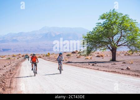 Mit dem Fahrrad von San Pedro de Atacama zum Cejar-See (auch bekannt als schwimmender Salzsee oder Laguna Cejar), Atacama-Wüste, Nordchile, Südamerika Stockfoto