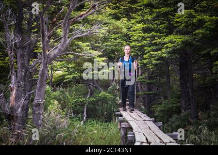 Wandern Französisch Tal, (Valle del Frances), Torres del Paine Nationalpark (Parque Nacional Torres del Paine), Patagonien, Chile, Südamerika Stockfoto