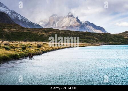 Paine Massif Berge, und Lake Pehoe, Torres del Paine Nationalpark, Patagonien, Chile, Südamerika Stockfoto