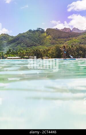 Paddleboarding in der Muri Lagune mit Rarotonga Insel im Hintergrund, Cookinseln, Hintergrund mit Kopierraum Stockfoto