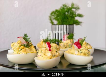 Eine Auswahl an frisch zubereiteten gefüllten gekochten Eiern Auf einem mit Bio-Dill garnierten Teller Stockfoto