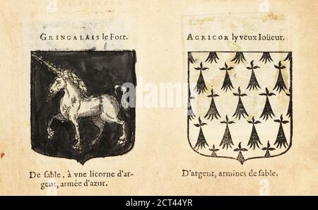 Imaginäre Wappen der Fünften und Sechsten Kapitel von König Artus Ritters of the Round Table: Sir Gingalain, mit silbernem Einhorn auf schwarzem Feld, und Agrior the Old Gamester, mit schwarzem Ermin auf silbernem Feld. Chevaliers de la table ronde: Gringalais le Fort, Agricor ly veux Joueur. Handkolorierter Holzschnitt aus Hierosme de Bara’s Le Blason des Armoiries, Chez Rolet Bouton, Paris, 1628 Stockfoto