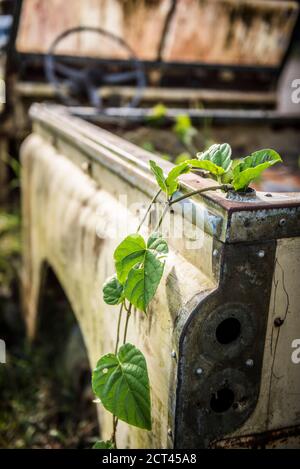 Alte heruntergekommenen Land Rover, Arenal Vulkan, Alajuela Provinz, Costa Rica Stockfoto