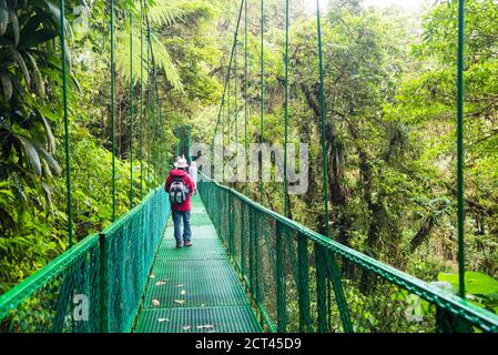 Treetop selvatura Hängebrücken, Monteverde Cloud Forest Reserve, Puntarenas, Costa Rica, Mittelamerika Stockfoto