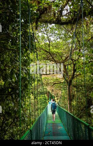 Treetop selvatura Hängebrücken, Monteverde Cloud Forest Reserve, Puntarenas, Costa Rica, Mittelamerika Stockfoto