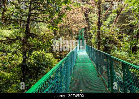 Monteverde Cloud Forest Reserve, von Selvatura Hängebrücken Treetop gesehen, Costa Rica, Mittelamerika Stockfoto