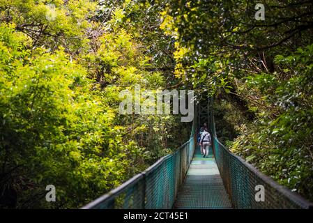 Treetop selvatura Hängebrücken, Monteverde Cloud Forest Reserve, Puntarenas, Costa Rica, Mittelamerika Stockfoto