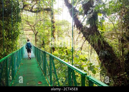 Treetop selvatura Hängebrücken, Monteverde Cloud Forest Reserve, Puntarenas, Costa Rica, Mittelamerika Stockfoto