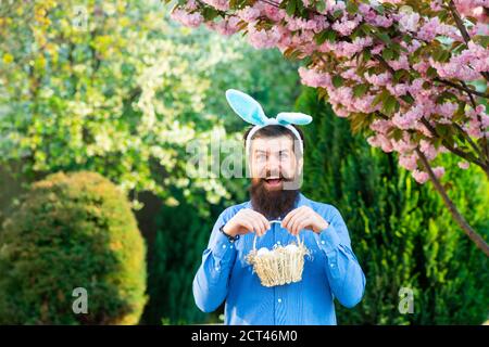 Lustiger Mann, der Ostereier im Frühlingsgarten jagt. Lustiger Mann mit Ostereiern und Hasenohren im Garten. Selektiver Fokus auf Hase. Stockfoto