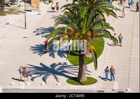 Touristen zu Fuß entlang Trogir Wasser Front unter Palmen, Trogir, dalmatinische Küste, Kroatien, Europa Stockfoto