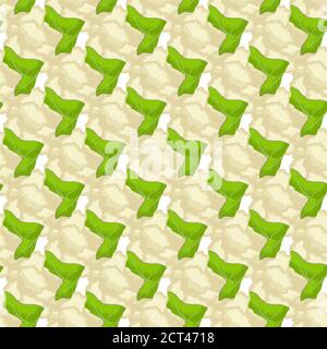 Illustration zum Thema der hellen Muster Kohl, Gemüsekohl für Dichtung. Gemüse Muster bestehend aus schönen Kohl, viele Blumenkohl. Stock Vektor