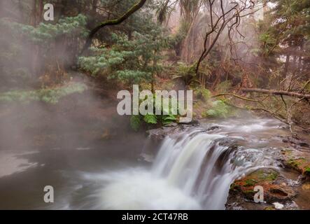 Thermalwasserfall auf Kerosin Creek, Rotorua, Neuseeland. Ungewöhnliche Naturlandschaften Stockfoto