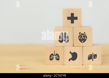 Smart gesundes Konzept, medizinische Schild Versicherung oder schützen Sie die Krankheit oder krank in jedem Körperteil des Menschen Beispiel Gehirn Herz Lunge Magen Leber e Stockfoto