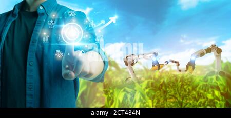 Futuristische Technologie in der intelligenten Landwirtschaft Landwirtschaft für Wachstumserträge durch Einsatz von ai Künstlicher Intelligenz, maschinellem Lernen, Digital Twin, 5g, Big Data, Stockfoto