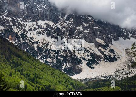 Slowenien. Juilan Alpen etwas außerhalb Kranjska Gora, Triglav Nationalpark, Oberkrain, Slowenien Stockfoto