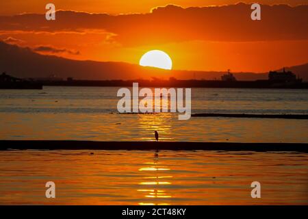 (200921) --PEKING, 21. September 2020 (Xinhua) -- EIN Vogel wird während des Sonnenuntergangs in Manila Bay in Manila, Philippinen am 20. September 2020 gesehen. (Xinhua/Rouelle Umali) Stockfoto