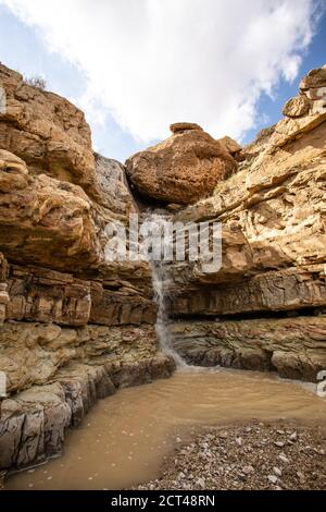 Ein Gedi Nationalpark. Der verborgene Wasserfall im Wadi Arugot [Arugot Stream]. Der Arugot-Strom ist einer der einzigen zwei Ströme im Zentrum des Jud Stockfoto