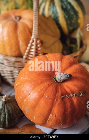 Herbsthintergrund, natürliche Ernte von Orangen-Kürbissen auf rustikalem Holztisch Stockfoto