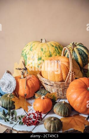 Herbsthintergrund, natürliche Ernte von Orangen-Kürbissen auf rustikalem Holztisch Stockfoto
