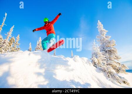 Snowboarder springt im frischen Schnee Wald. Freeride Snowboarding im Skigebiet Stockfoto