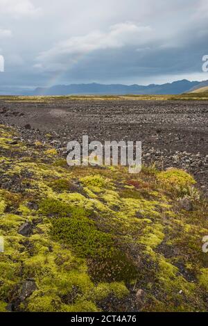 Regenbogen und isländische Landschaft von der Route 1 bei Vik, Südregion (Sudurland), Island, Europa Stockfoto