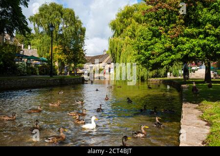 Bourton-on-the-Water, die Cotswolds, Gloucestershire, England, United Kingdon, Europa Stockfoto