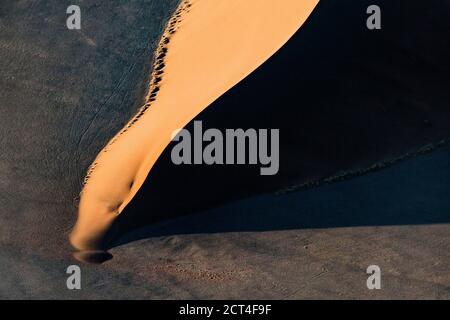Kontrastiert von den Oxidreichen roten Sanddünen im großen Sandmeer Namibias. Stockfoto