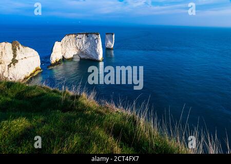 Old Harry Rocks am Handfast Point an der Jurassic Coast Von Purbeck Dorset im Südwesten Englands Stockfoto