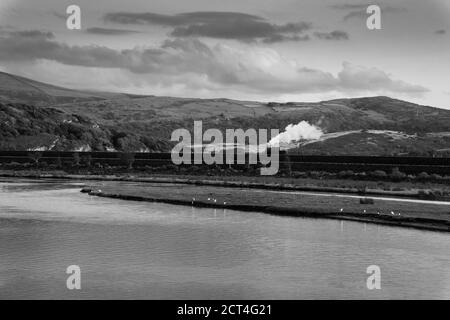 Ffestioioog und Welsh Highland Railway Motor dampfend entlang der Cob, Porthmadog North Wales Großbritannien. August 2020 Stockfoto