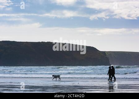 Hundespaziergängen am Broadhaven Beach, Pembrokeshire Coast National Park, Wales, Vereinigtes Königreich Stockfoto