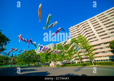 Karpfenstreamer im Park in Tokio tagsüber sonnig Stockfoto