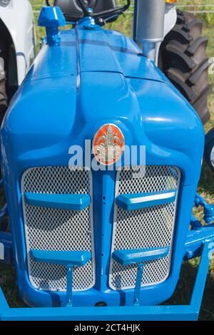 Kieldrecht, Belgien, 1. September 2019, Vorderseite eines blauen Fordson Traktors, mit dem Logo in rot Stockfoto