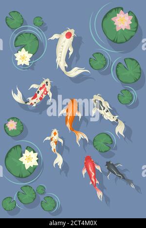 Koi Fische schwimmen im Teich mit schönen Seerosen, flache Vektor-Illustration Stock Vektor