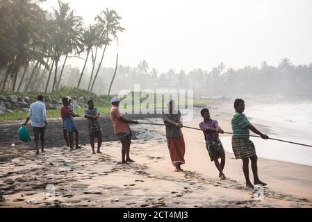 Fischer ziehen große Fischernetze am tropischen Kappil Beach, Varkala, Kerala, Indien Stockfoto