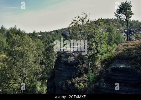 Die Tisa Felsen oder Tisa Wände sind eine bekannte Gruppe von Felsen in der Westböhmischen Schweiz. Es ist die Region mit bis zu 30 m hohen Felssäulen. Stockfoto