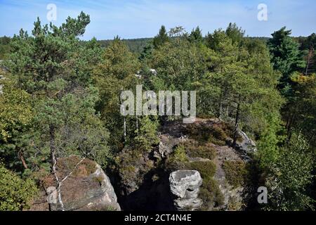 Die Tisa Felsen oder Tisa Wände sind eine bekannte Gruppe von Felsen in der Westböhmischen Schweiz. Es ist die Region mit bis zu 30 m hohen Felssäulen. Stockfoto