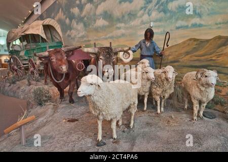 Schafe, Ochsen ziehen Siedlerwagen in lebensgroßen Diorama im Oregon Trail Interpretive Centre in der Nähe von Baker City, Oregon, USA Stockfoto