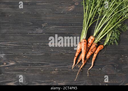 Bündel von reifen Karotten auf einem schwarzen Holzhintergrund mit Leerzeichen für Text Stockfoto