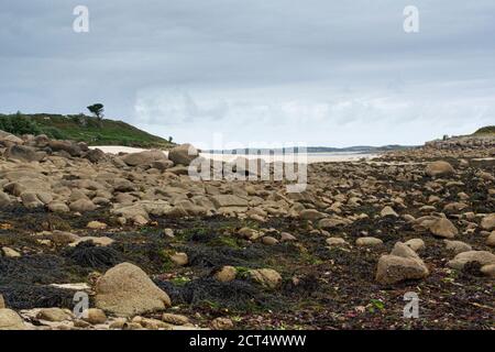 Pelistry Bay, St Mary's, Isles of Scilly Stockfoto