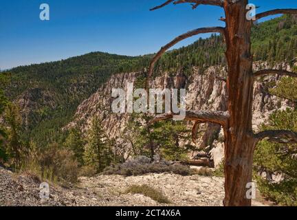 Box Death Hollow Wilderness, Blick von der Hells Backbone Road, Colorado Plateau, Utah, USA Stockfoto