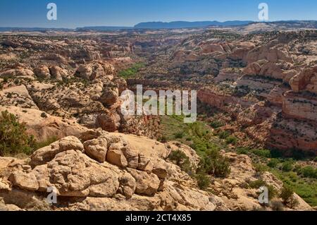 Box Death Hollow Wilderness, Blick von der Hells Backbone Road, Colorado Plateau, Utah, USA Stockfoto