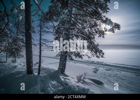 Lappland Landschaft bei Nacht unter den Sternen in der gefrorenen Winterlandschaft, Finnland Stockfoto