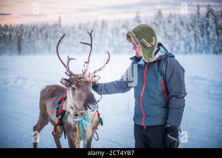 Person streicheln ein Rentier zu Weihnachten im Winter in der Arktis Kreis in Lappland, Finnland Stockfoto