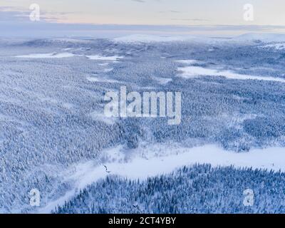 Luftbild von gefrorenen Fluss und Schnee bedeckten Wald Winterlandschaft Zeigt erstaunliche Lappland Landschaft in Skandinavien in Finnland Drohne Stockfoto