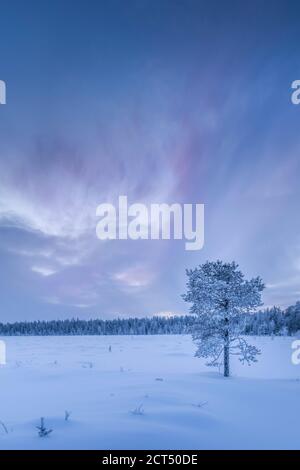 Winterwunderland weihnachtslandschaft Hintergrund mit Kopierraum zeigt schneebedeckten gefrorenen See, dramatische Sonnenuntergangswolken, Wald und eisige Bäume in Lappland, Finnland, Polarkreis, Europa Stockfoto