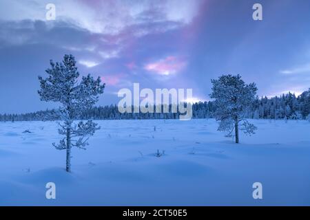 Winterwunderland weihnachtslandschaft Hintergrund mit Kopierraum zeigt schneebedeckten gefrorenen See, dramatische Sonnenuntergangswolken, Wald und eisige Bäume in Lappland, Finnland, Polarkreis, Europa Stockfoto